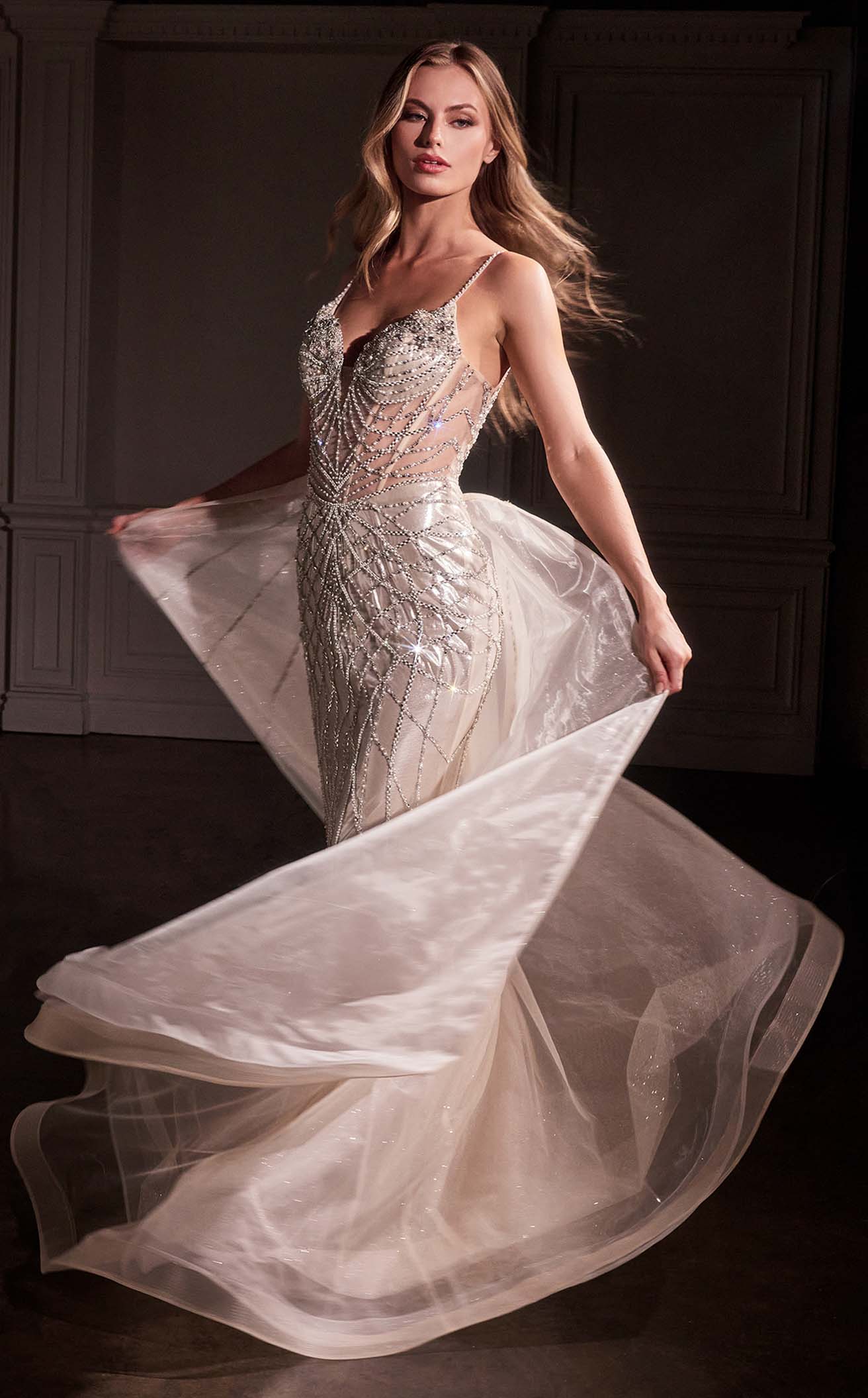 Ladivine CD763 Dress